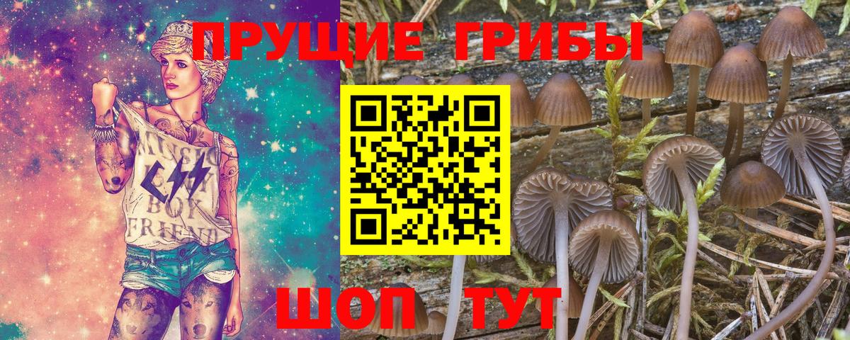 Галлюциногенные грибы MAGIC MUSHROOMS Карталы