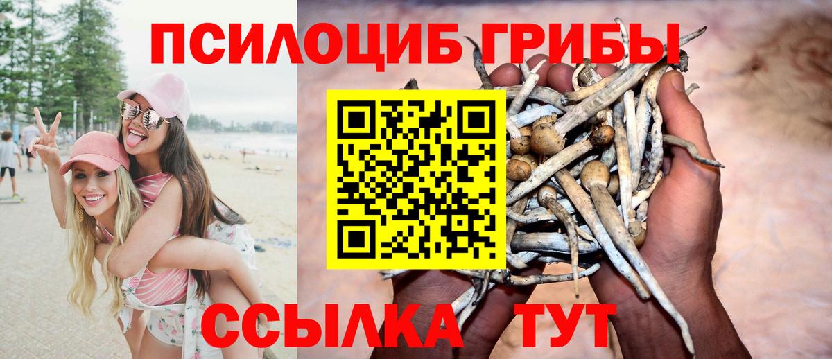 Карталы  Псилоцибиновые грибы ЛСД  Вход с VPN  Псилоцибиновые грибы GOLDEN TEACHER 